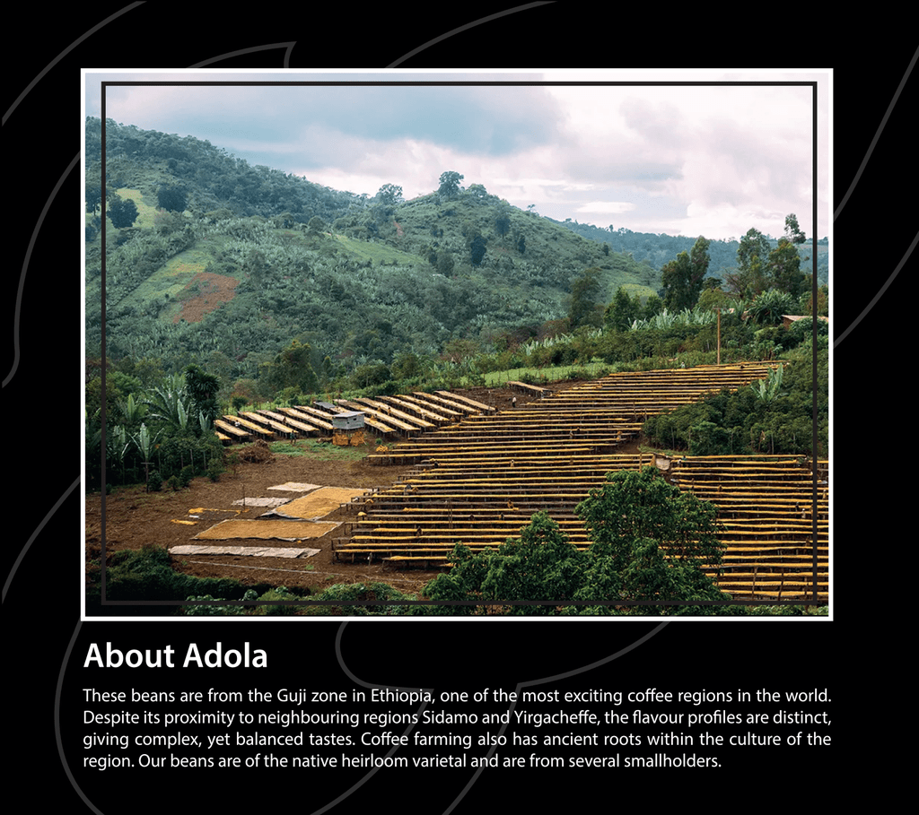 Adola– Ethiopia Coffee – 250g