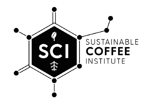 Demo Logo