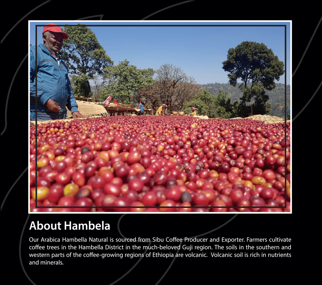 Hambela– Ethiopia Coffee – 250g