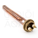 Heating Element W3000 V220 Cm29 1-1/4 Rp
