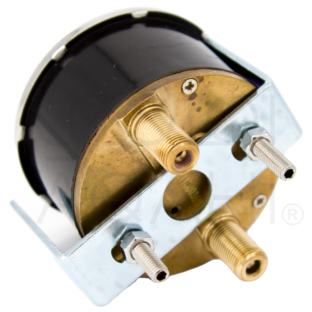 Double Scale Pressure Gauge With lion