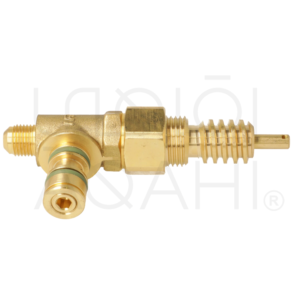 Steam Valve Assembly 