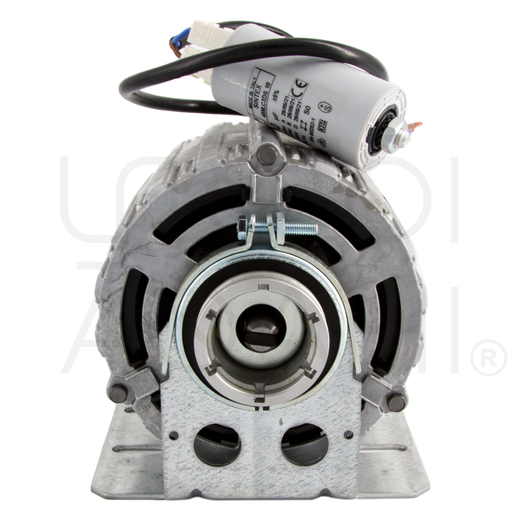 Clamp Ring Motor Pump 