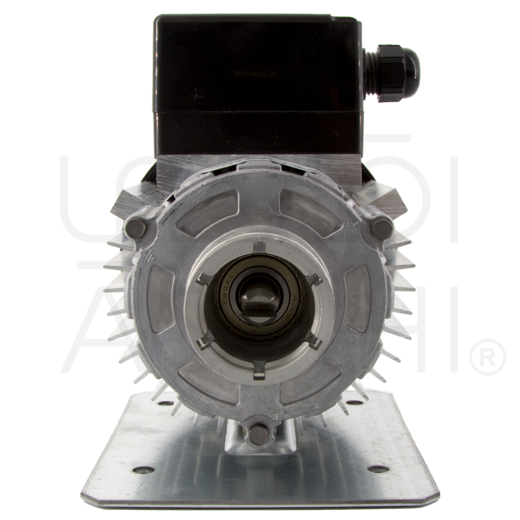 Closed Clamp Ring Motor Pump 