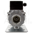 Closed Clamp Ring Motor Pump 