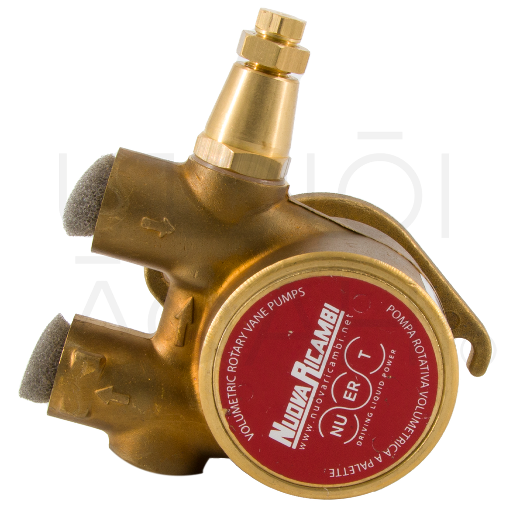 Nuert Volumetric Flange Pump 