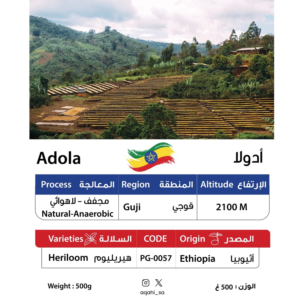 Ethiopian Green Coffee Adola Natural Anaerobic 500 gm